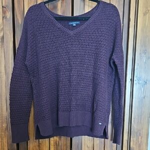 American Eagle Outfitters Purple V-Neck Textured Sweater